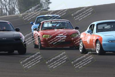 media/Feb-22-2025-SCCA SD (Sat) [[57201885c5]]/Group Two/Group 2B/